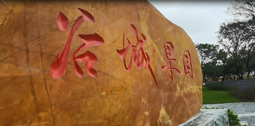 谷城礦業(yè)直播：走進(jìn)“谷城果園”！