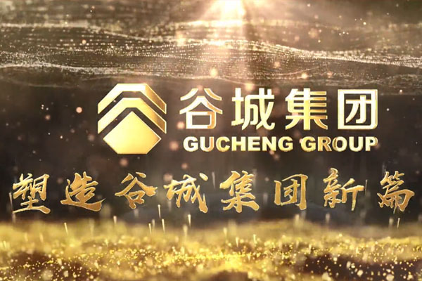 共筑新時代，不負(fù)韶華夢——谷城集團(tuán)隆重舉行2019年度榮譽表彰大會暨2020年迎春年會